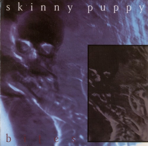 Постер Skinny Puppy - Discography Skinny Puppy - Discography