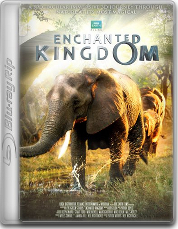 Заколдованное королевство / Enchanted Kingdom VO+AVO