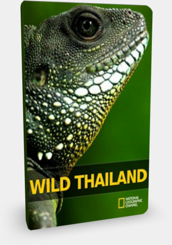 Дикая природа Таиланда (2 серии из 2) / National Geographic: Wild Thailand DUB