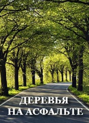 Деревья на асфальте