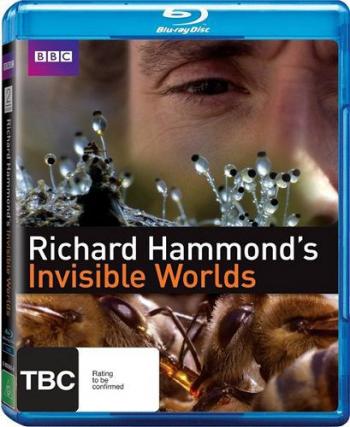 BBC: Невидимые миры / BBC: Invisible Worlds VO