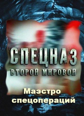 Спецназ Второй мировой. Бывалые уходят на задание