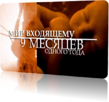 Мир входящему. 9 месяцев одного года