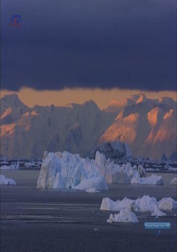 Гренландия. Дикая природа страны викингов / The Green Land: Wildlife in the Land of Vikings VO