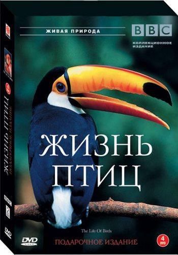 Тайная жизнь птиц (5 серий из 5) / Secret Life of Birds DUB