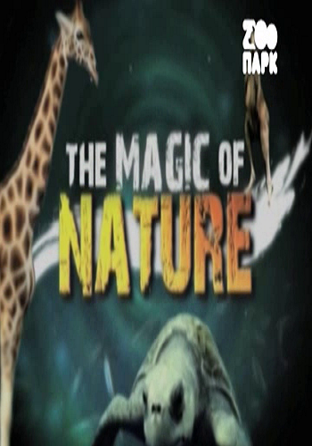 Линия поведения / The MAGIC of NATURE (1-1 серии из 16) VO