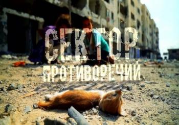 Сектор противоречий