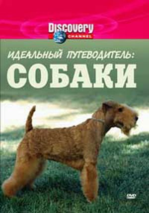 Discovery: Идеальный путеводитель: Собаки / Ultimate Guide: Dogs