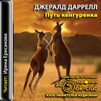 Путь кенгурёнка