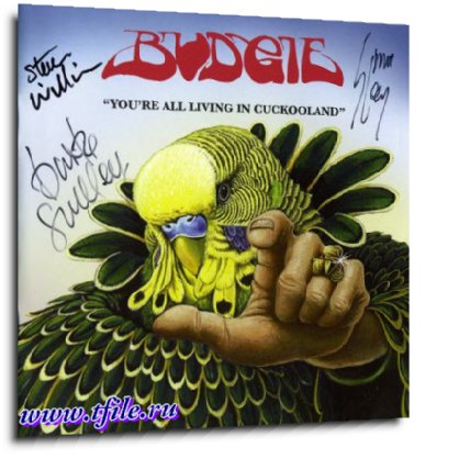 Постер Budgie - Дискография Budgie - Дискография