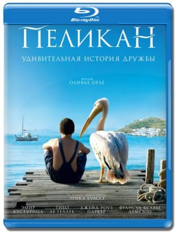 Пеликан / Nicostratos le pelican DUB