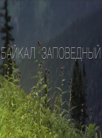 Байкал заповедный