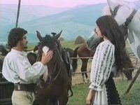 Янку Жиану-гайдук / Iancu Jianu, haiducul