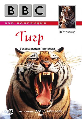BBC: Плотоядные. Тигр: Ускользающая принцесса / BBC: Wildlife Special-Tiger