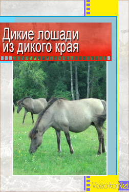 Дикая планета: Дикие лошади из дикого края / Wild Horse Wild Country