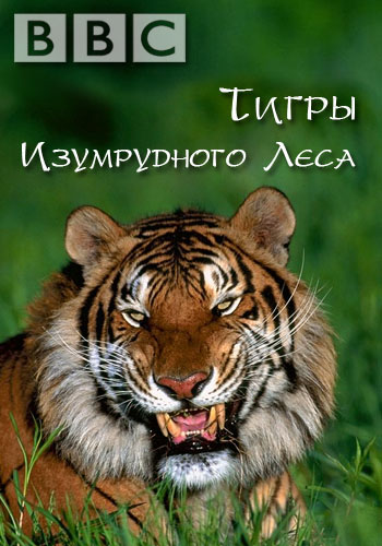 BBC: Тигры Изумрудного леса / BBC: Tigers of the Emerald Forest