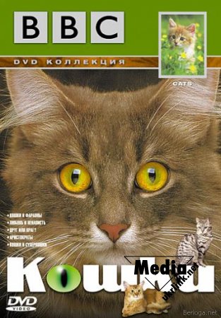 BBC: Кошки / BBC: Cats