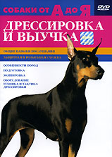 Дрессировка и выучка