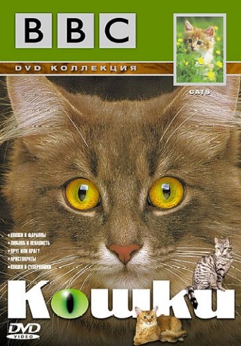 BBC: Кошки - Аристократы / BBC: Cats - The aristocats (Cats 4)