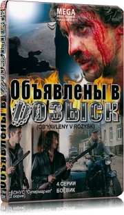 Объявлены в розыск (4 серии из 4)