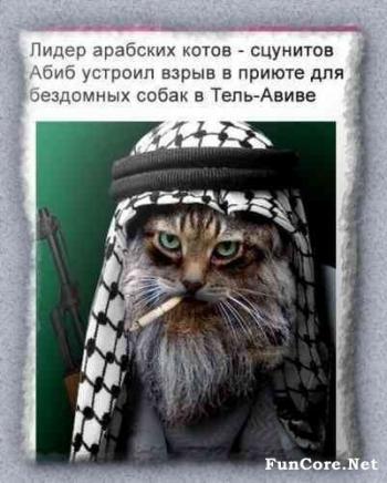 Набор прикольных картинок 3