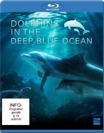 Дельфины в глубоком синем океане / Dolphins in the deep blue ocean