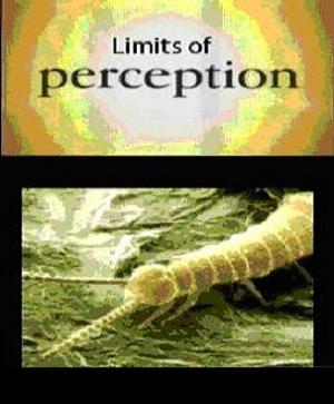 За гранью восприятия / Limits Of Perception