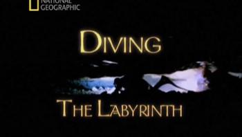 Погружение в лабиринт / Diving The Labyrinth