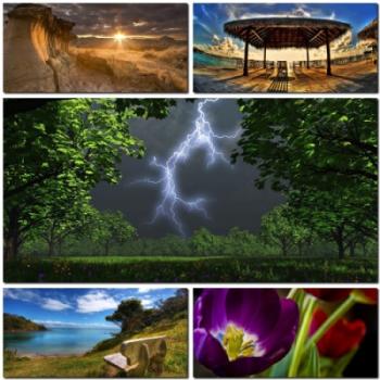 Nature №12