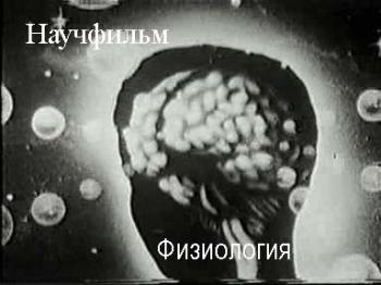 Серия Физиология /