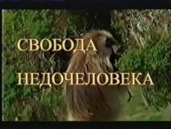Свобода