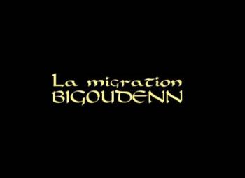 Миграция блинных ведьм / La Migration Bigoudenn