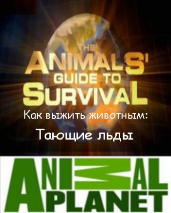 Animal Planet. Как выжить животным (3 серия из 7) : Тающие льды / The Animals' guide to Survival