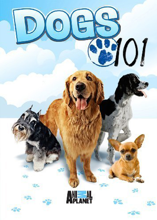 Введение в собаковедение (часть 1 серии 1-8) / Dogs 101 (part 1 series 1-8) VO