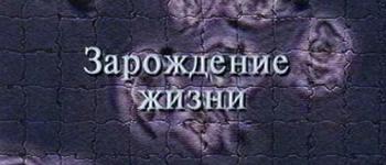 Теория невероятности. Зарождение жизни: Волновая генетика