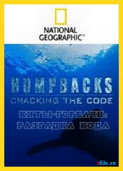 Киты - горбачи. Разгадка кода / National Geographic: Humpbacks. Cracking the Code VO
