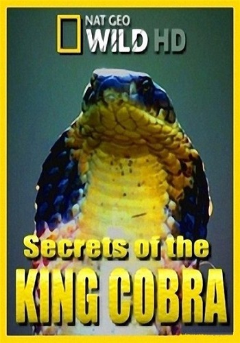Секреты королевской кобры / Secrets of the King Cobra VO