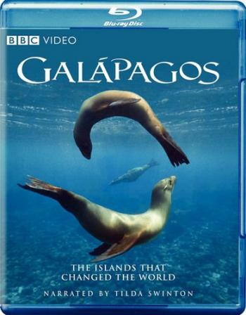 BBC: Галапагосы / BBC: Galapagos (3 серии из 3) DVO