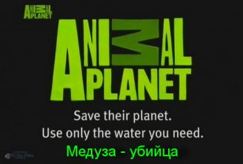 Animal Planet: Медуза-Убийца / Animal Planet: Killer Jellyfish VO