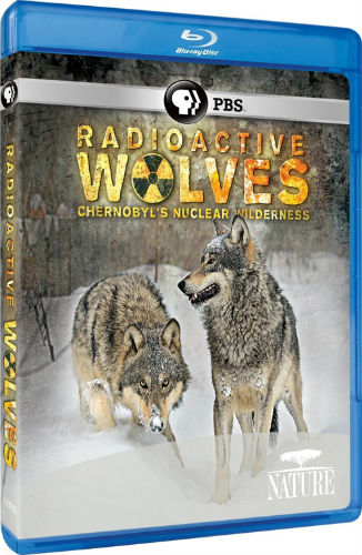 NATURE: Радиоактивные волки Чернобыля/ NATURE: Radioactive Wolves VO