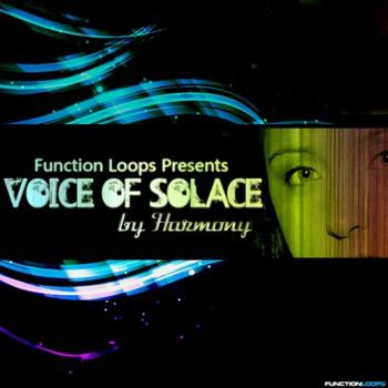 Function Loops - Voice Of Solace