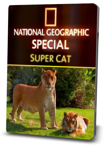 National Geographic. Суперкошка / Super Cat VO