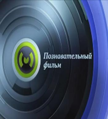 Познавательный фильм. Тоже спорт (ТК МОСКВА 24 )