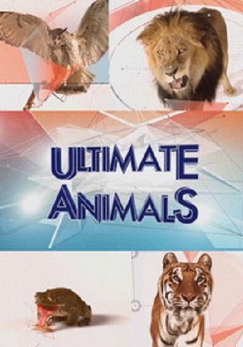 Увлекательная зоология (1-6 серии из 6) / Ultimate Animals DUB