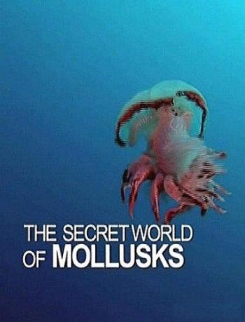 Тайный мир моллюсков / The Secret World Of Mollusks DUB