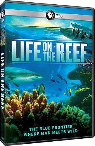 Жизнь на Большом Барьерном рифе (1-3 серии из 3) / Nat Geo Wild. Life on the Reef DUB