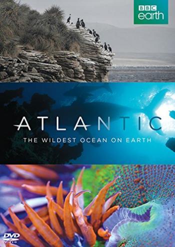 Атлантика: Самый необузданный океан на Земле (1 сезон: 1-3 серии из 3) / Atlantic: The Wildest Ocean on Earth DVO