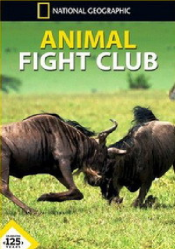 Бойцовский клуб для животных (3 сезон: 1-5 серии из 5) / Animal Fight Club DUB
