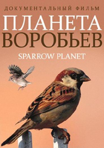Планета воробьев / Sparrow Planet VO