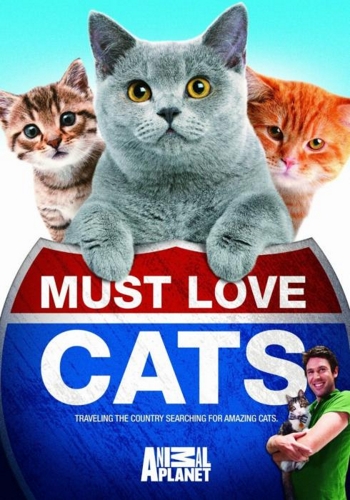 Кошек не любить нельзя (1-6 серии из 6) / Must Love Cats VO